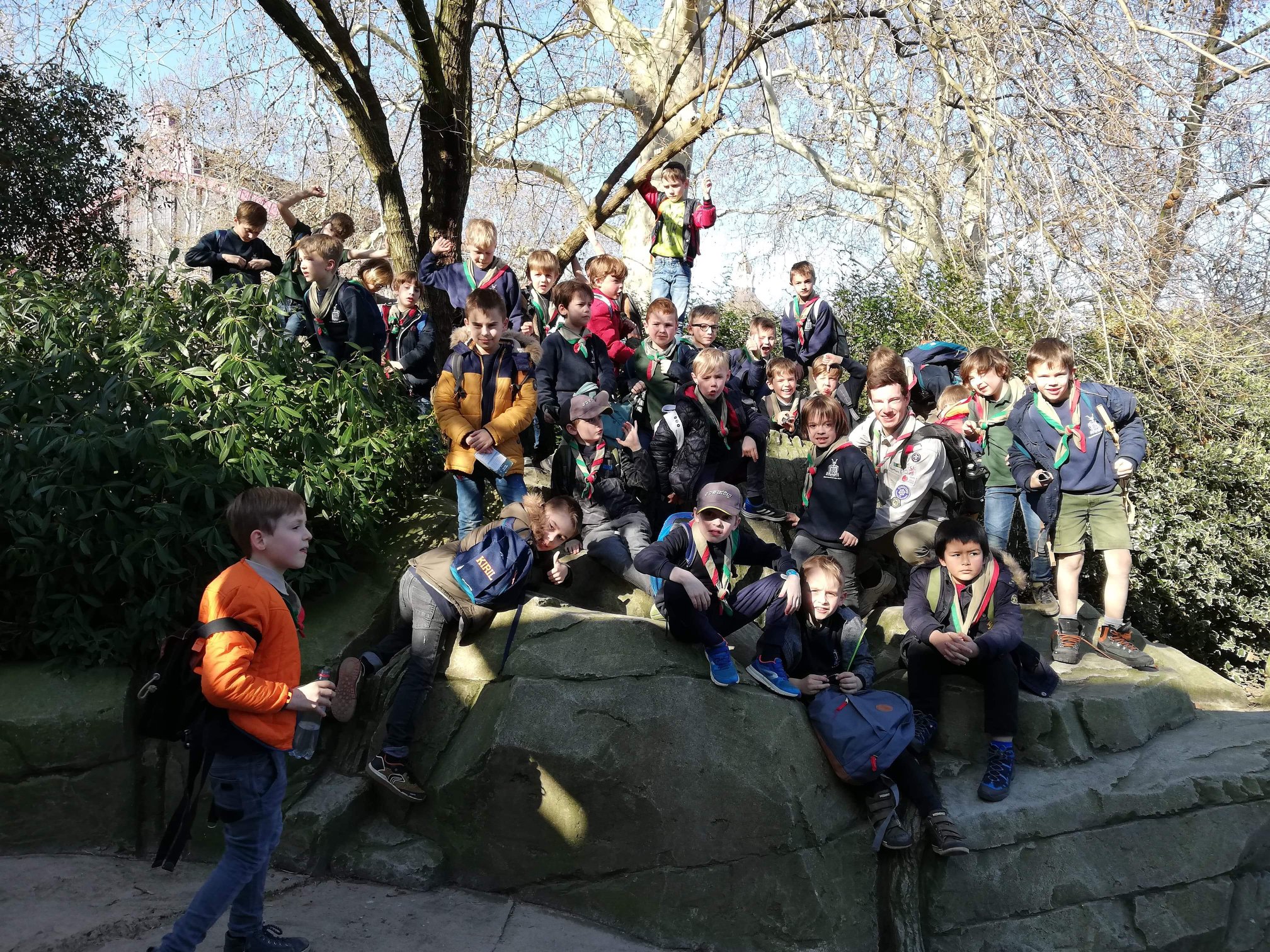 Sint-Martinus den XIIde - Zoo Antwerpen Kapoenen